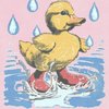 Ducky B.